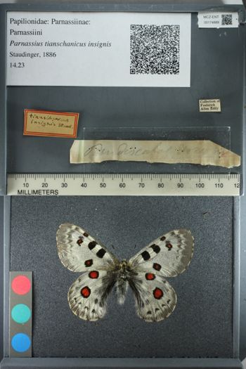 Media type: image;   Entomology 174889